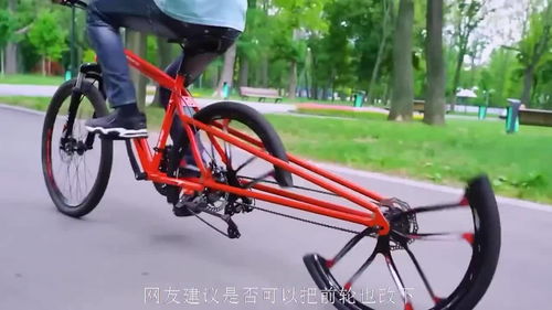 三分之一輪胎自行車